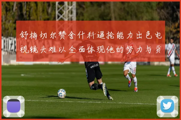 舒梅切尔赞舍什科逼抢能力出色电视镜头难以全面体现他的努力与贡献