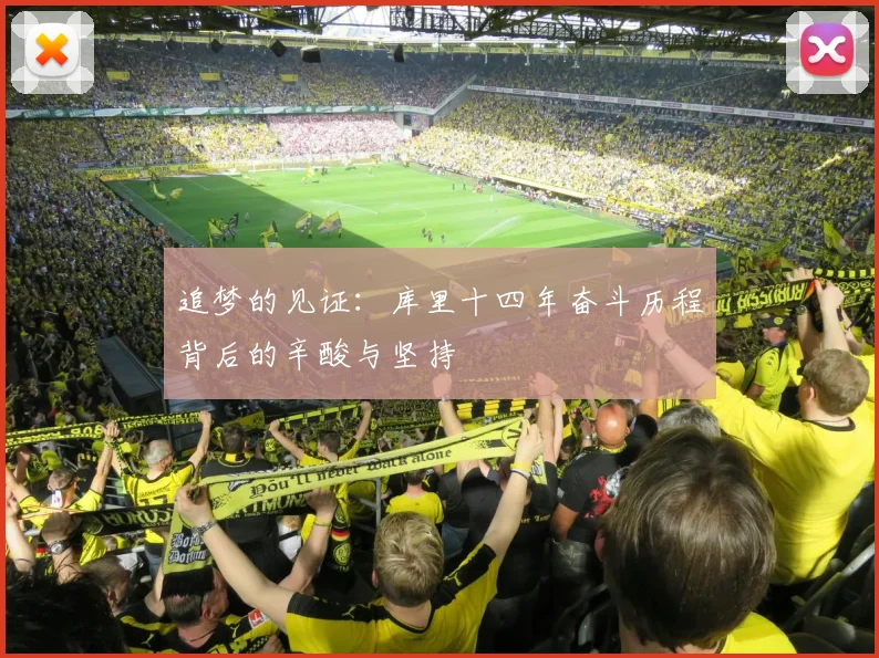 追梦的见证：库里十四年奋斗历程背后的辛酸与坚持